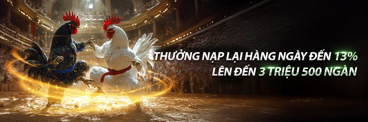 Đá gà trực tuyến kịch tính tại 55vin login