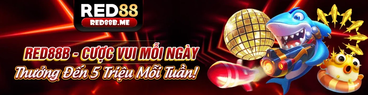Cá cược thể thao 55vin Login