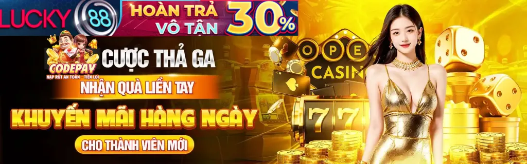 Ưu đãi dành cho thành viên VIP 55vin login